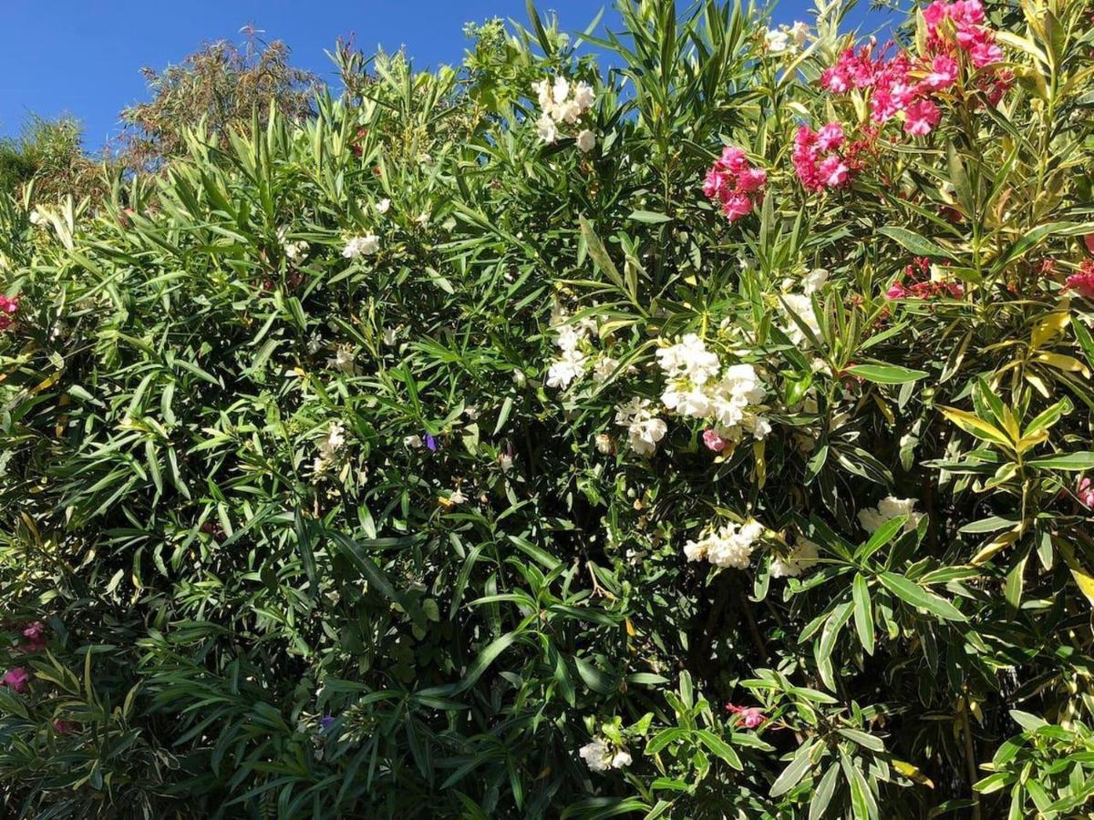 Lovely 2 Bed Apartment In Alcalalí Esterno foto