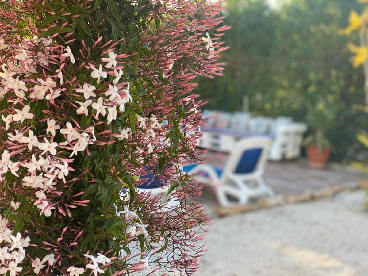 Lovely 2 Bed Apartment In Alcalalí Esterno foto